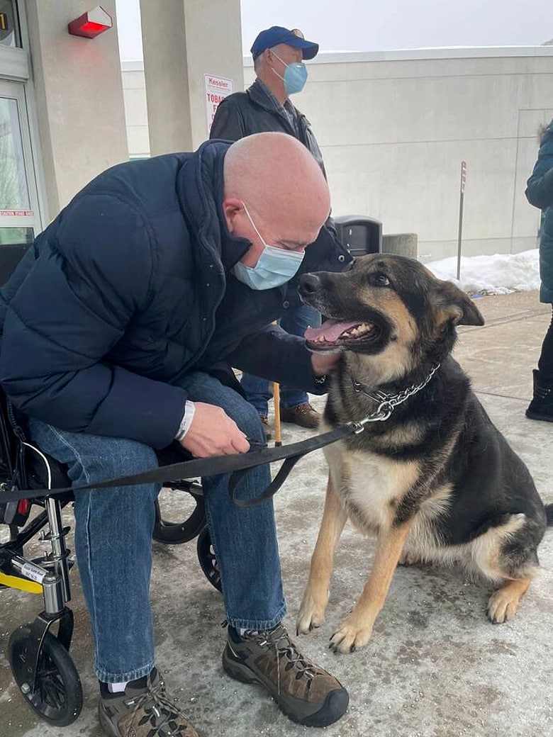 A man in a mask saves life by petting a rescue German Shepherd in a wheelchair after the dog suffered a stroke.