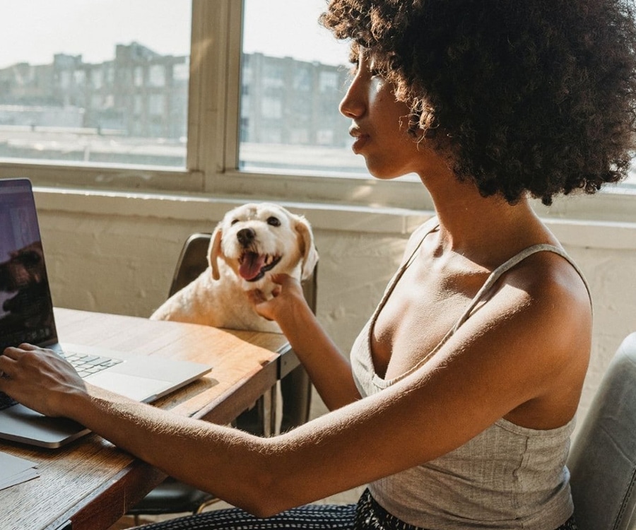 woman and dog at computer