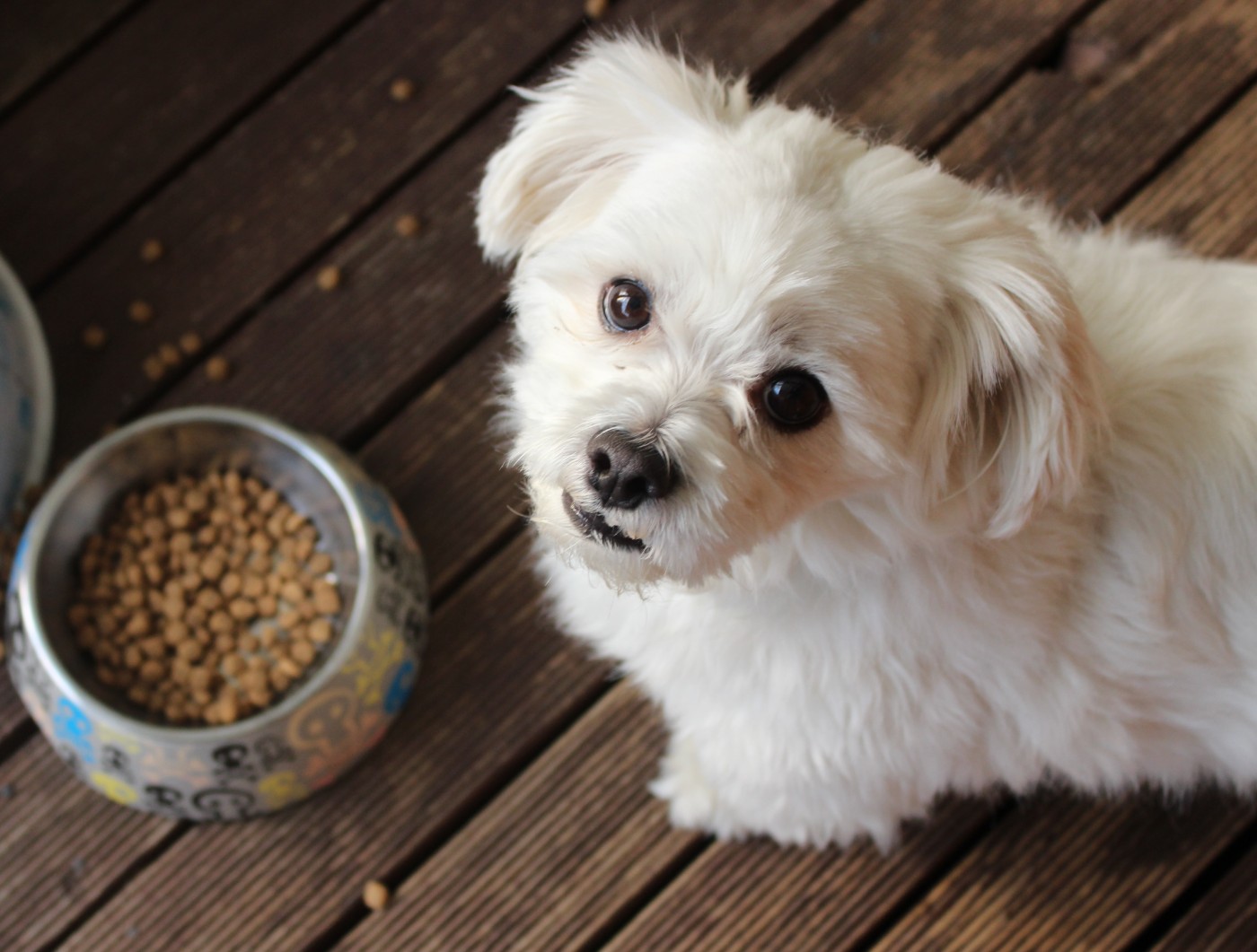 Dog Food Recall Sunshine Mills