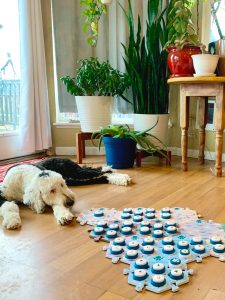 A dog laying on the floor next to a puzzle.