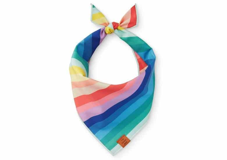 The Foggy Dog Pastel Rainbow Bandana