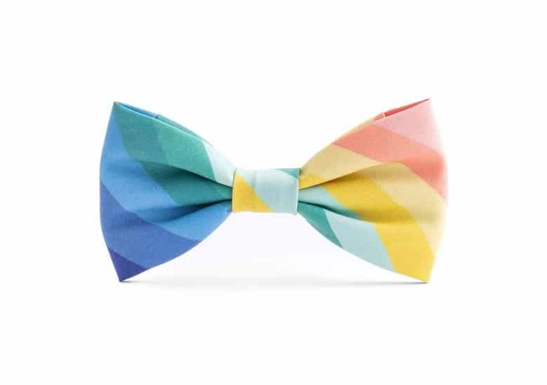 The Foggy Dog Rainbow Bowtie