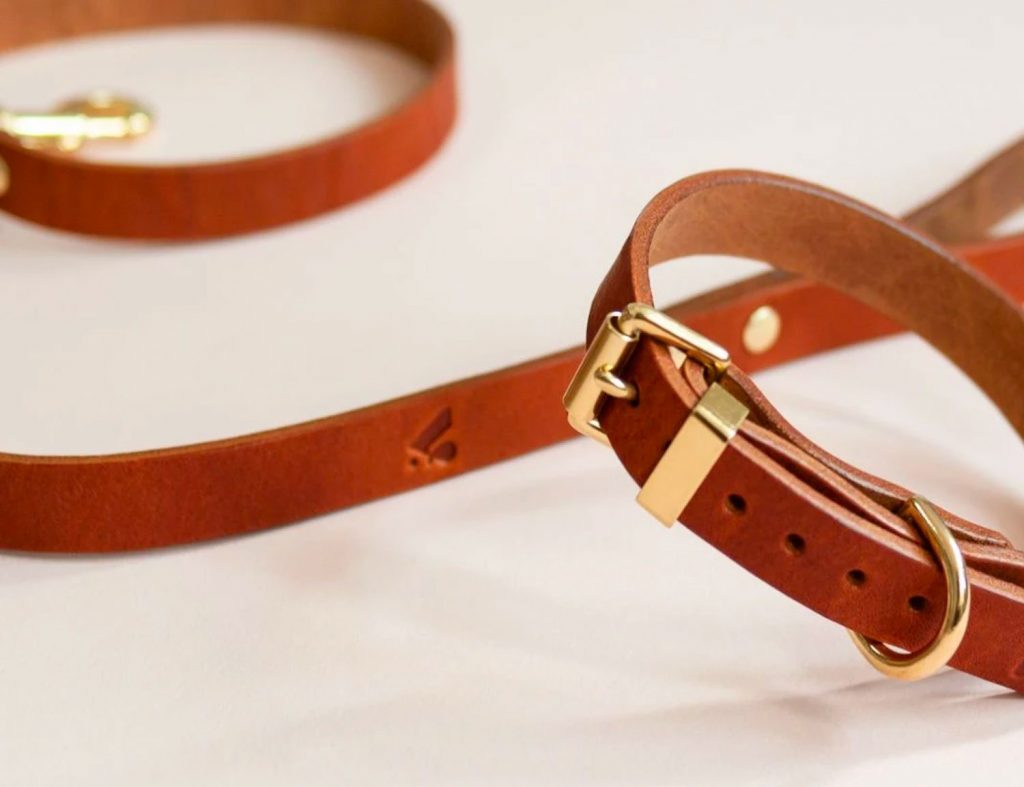 Two brown leather dog collars from This Dogs Life on a white surface.