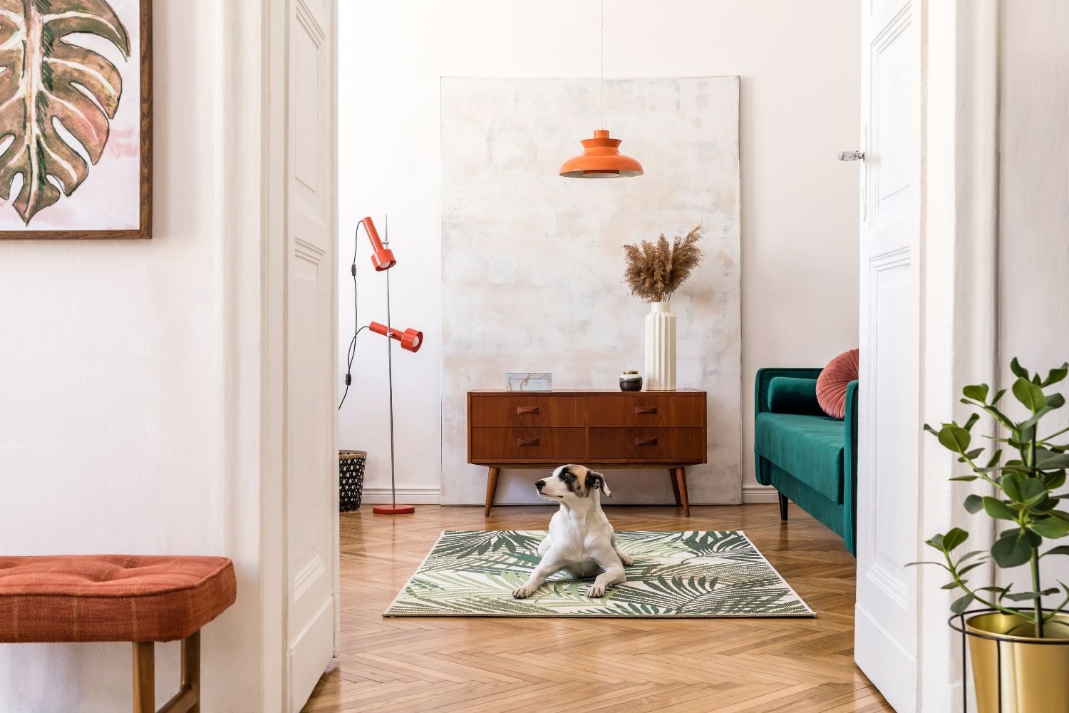 A dog sits on a wooden floor in a living room, struggling with separation anxiety as its owner prepares to return to work.