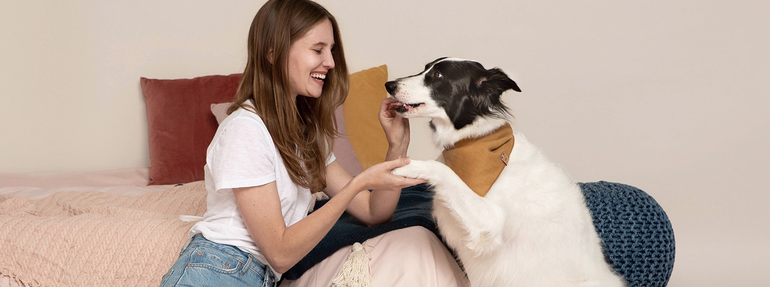 A woman playing with her dog on a bed. For more details, contact us.