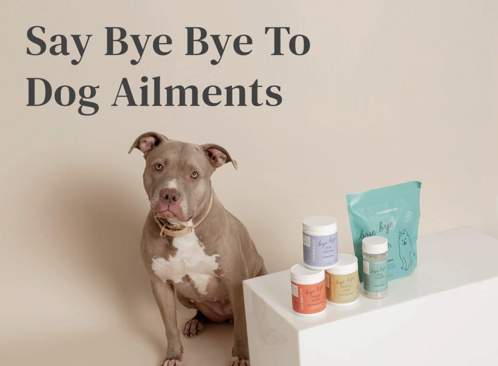 Say bye to dog supplements with This Dogs Life.