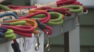 Many colorful dog leashes, made from climbing rope, are lined up on a table.