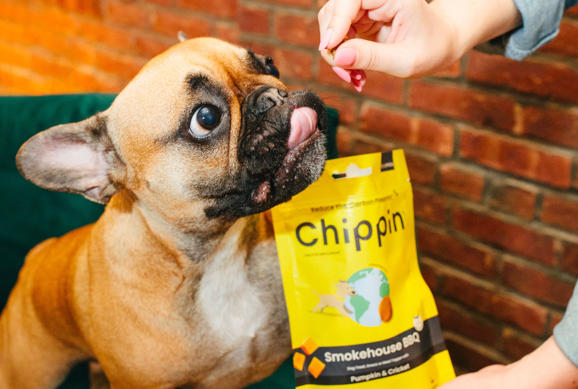 This Innovative Pet Brand Is Making Treats That Are Better for Our Dogs and Planet