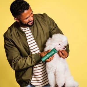 A man is petting a white poodle on a yellow background, revolutionizing pop art dog grooming.