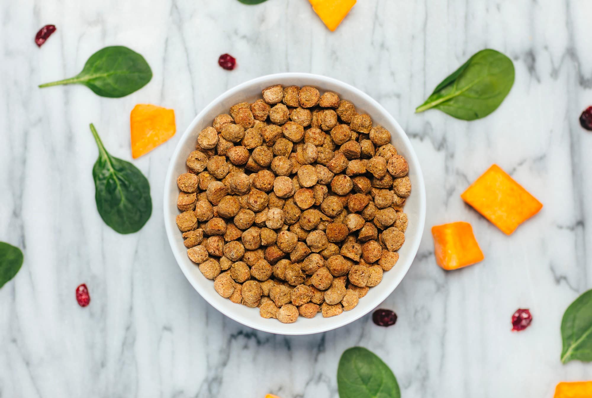 5 Eco-Friendly Dog Food Brands You Can Support Right Now