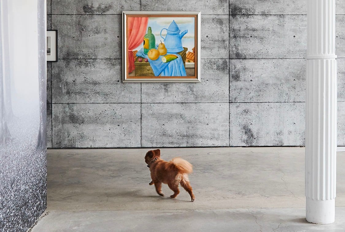 A dog parent's pet is standing in front of a painting.