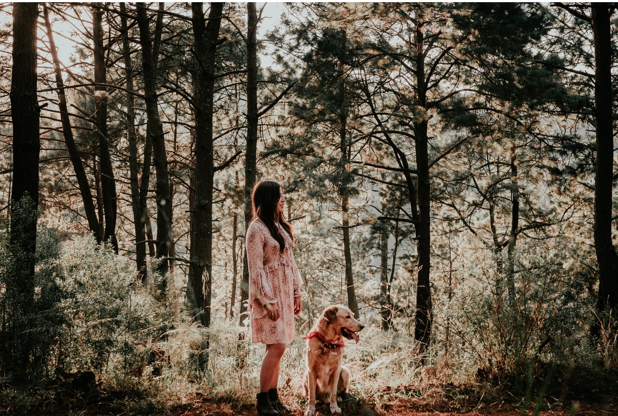 A woman on a mindful walk with her dog in the woods.