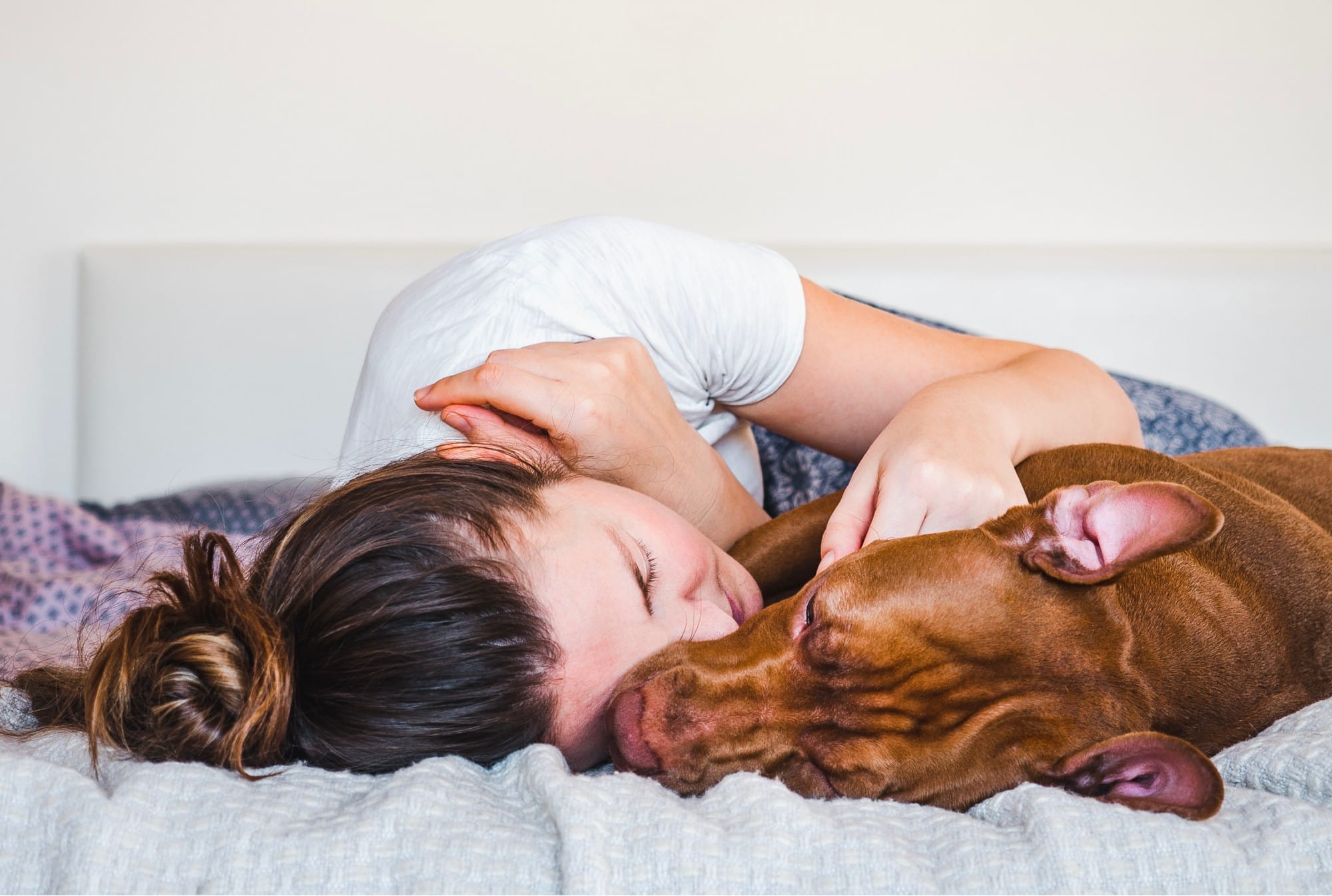 How to Be at Peace When Preparing for Your Dog's Euthanasia