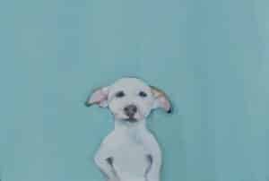 A painting from the Dog Art World depicting a white dog standing in front of a turquoise background, inspired by the famous Princess Diana sweater.