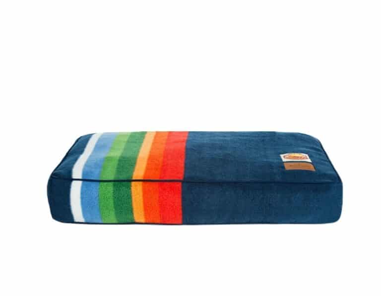 11 of Our Favorite Pride Essentials for Your Dog This Dogs Life