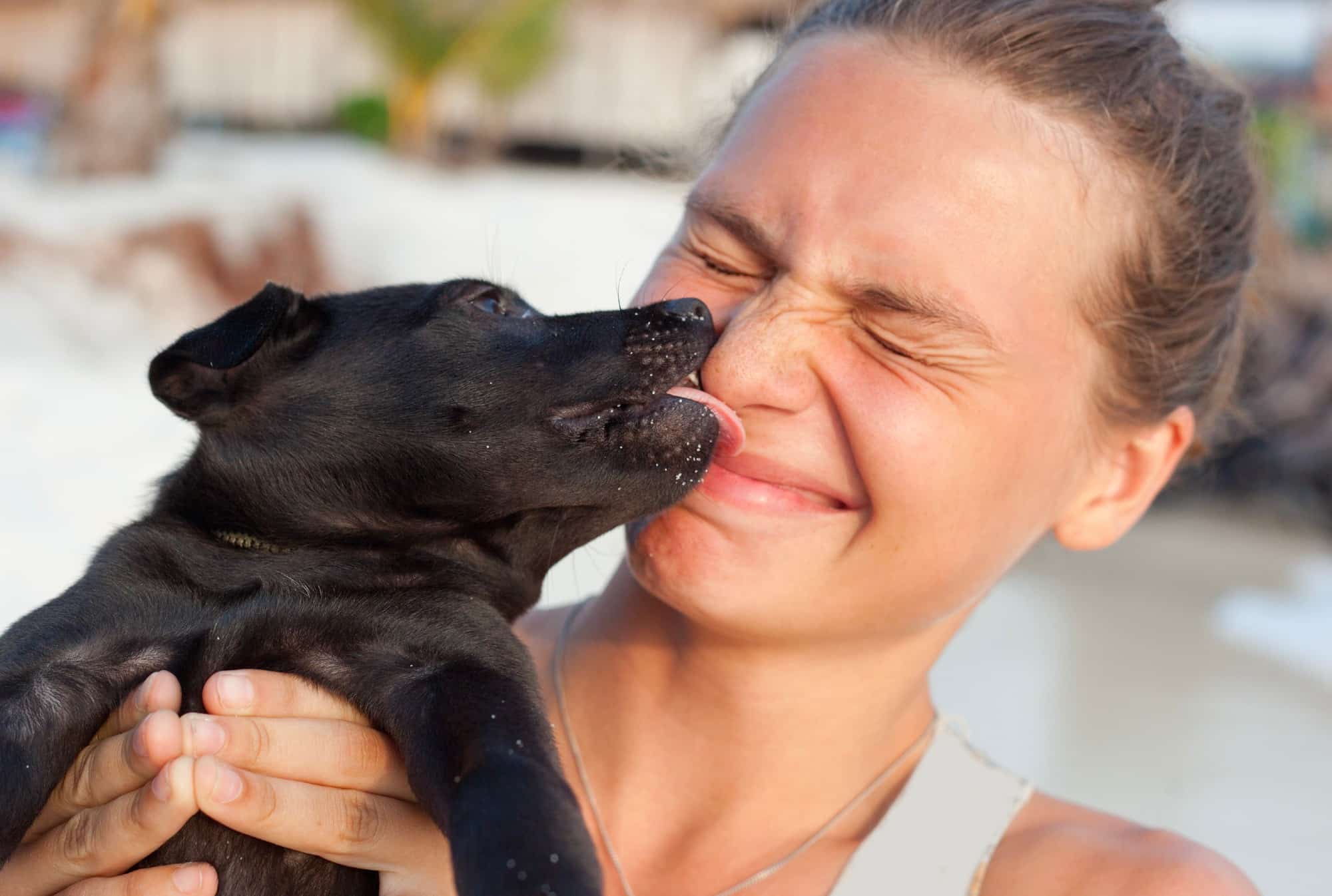 Study Reveals a woman kissing a black dog at the beach.