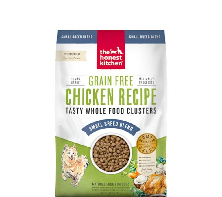 6 Sustainable Dog Food Brands and Why We Love Them - This Dogs Life