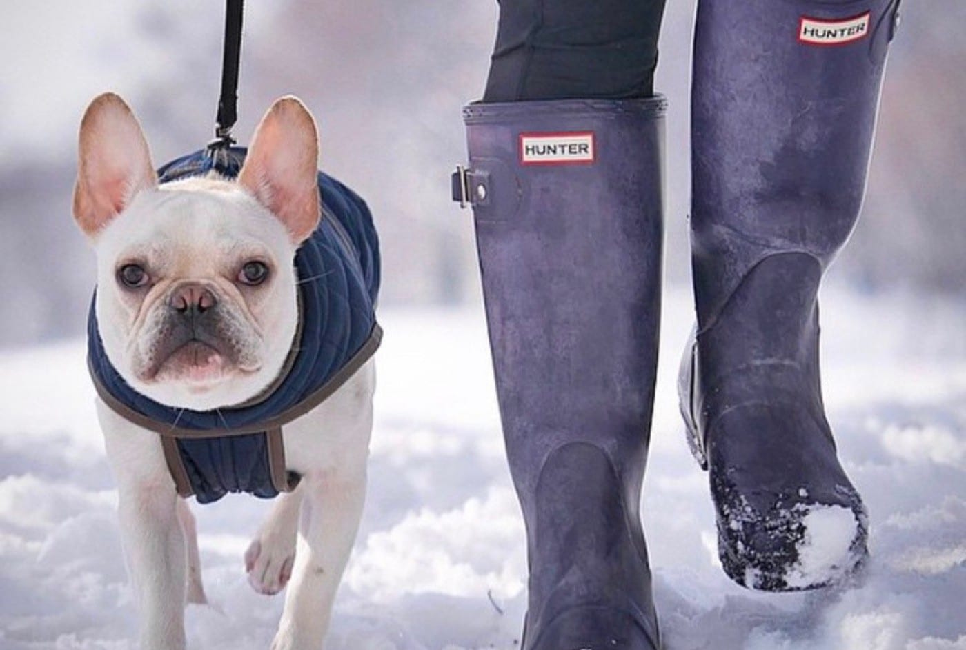 A dog, wearing a cozy winter essential, is walking in the snow with a person in a pair of rain boots.