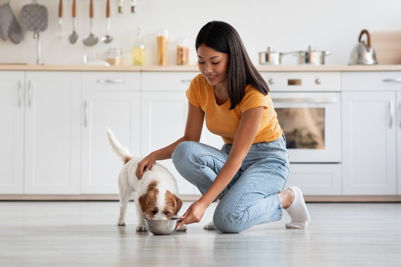 woman feeding her dog