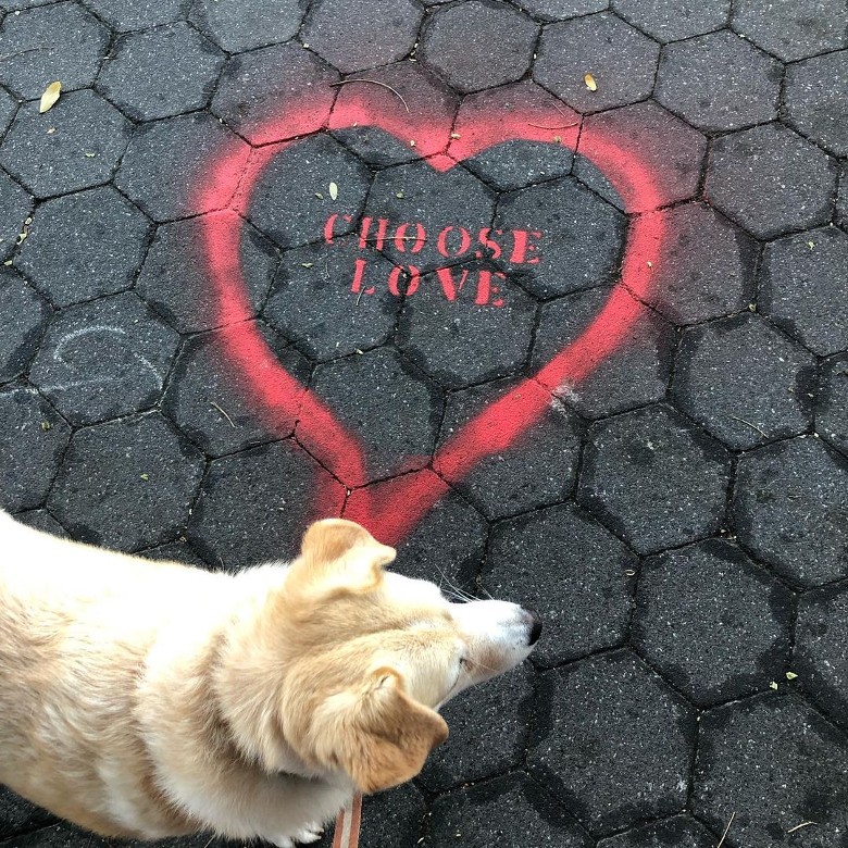 A dog standing next to a heart with the word "choose love" written on it, embodying life lessons from a dog.