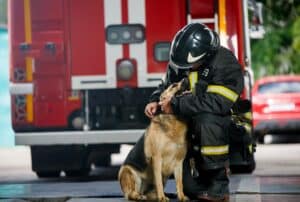 A firefighter in uniform, taking a moment during the intense Los Angeles fires, kneels to gently pet a German Shepherd near a fire truck—a testament to their commitment to help animals even amidst chaos.